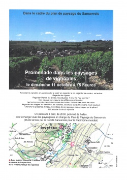 PROMENADE DANS LES PAYSAGES DE VIGNOBLES- 15h00