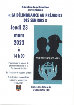 LA DELINQUANCE AU PREJUDICE DES SENIORS