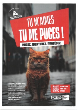 Semaine nationale de l&#039;identification : du 16 au 22 juin 2025