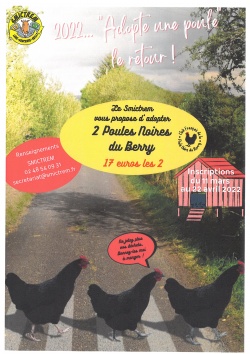 J&#039;ADOPTE 2 POULES