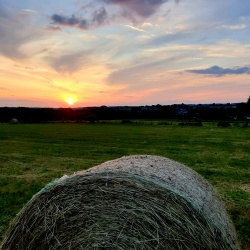 Subligny en été