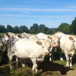 Pays d&#039;élevage et d&#039;agriculture