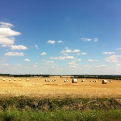 Pays d&#039;élevage et d&#039;agriculture