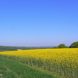 Subligny en été