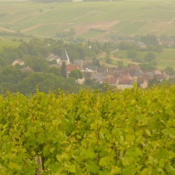 Pays d&#039;élevage et d&#039;agriculture