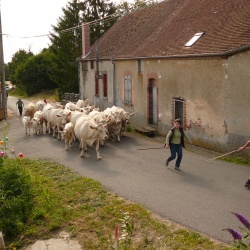 Pays d&#039;élevage et d&#039;agriculture