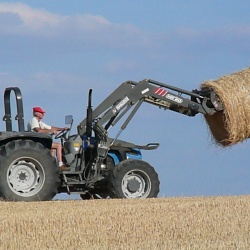 Pays d&#039;élevage et d&#039;agriculture