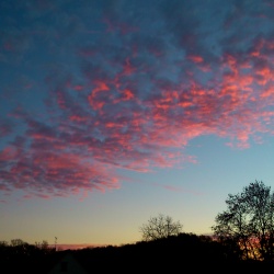 Subligny en été