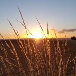 Subligny en été