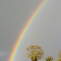 Subligny en été