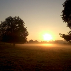 Subligny en été